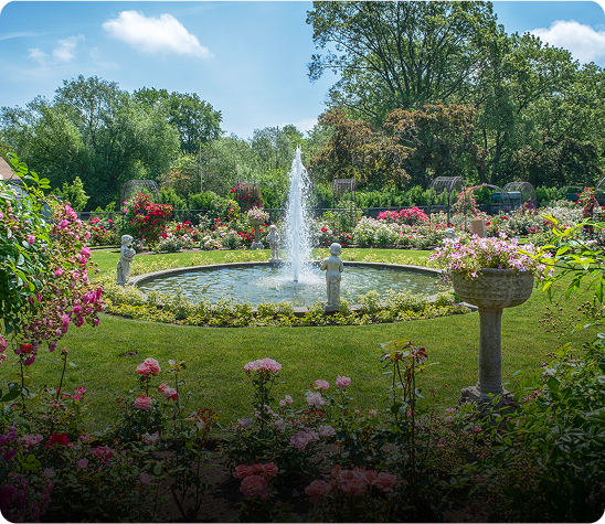 Garden with fountain and colorful blooming flowers.